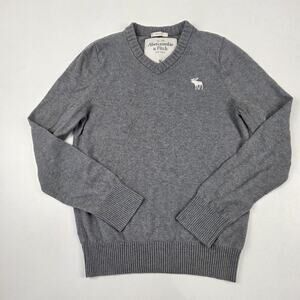 Abercrombie & Fitch Sweater Mens Medium Muscle Fit V‎ Neck Wool Cashmere Blend